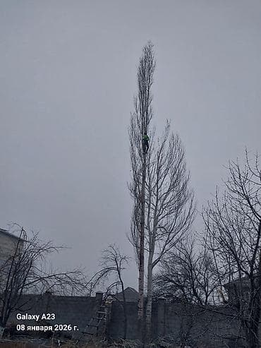 варка мясо: Бак кыйабыз отун аралайбыз любой сложности без повреждения и без — 5