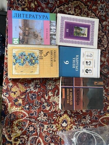 ремонт электро велосипедов: Набор школьных учебников. В комплект входят: - Литература, 10 класс — 1