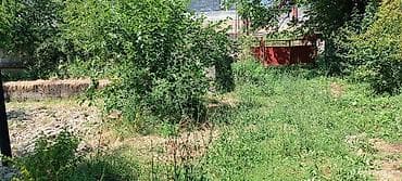 green land: 12 соток, Красная книга — 5