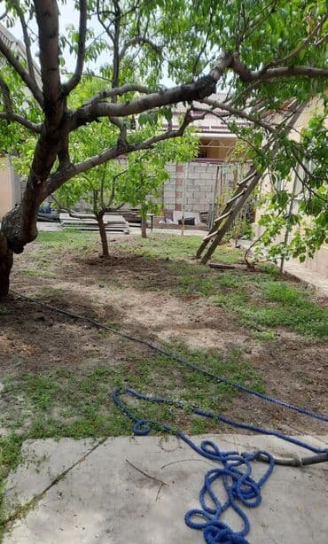 продаю дом бишкек квартира: Дом, 76 м², 4 комнаты, Риэлтор, Косметический ремонт — 7