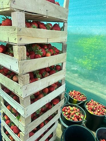 Земельные участки: 500 соток, Для бизнеса — 3
