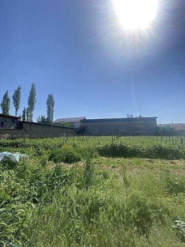 Продажа участков: 10 соток, Для бизнеса, Красная книга, Договор купли-продажи — 3