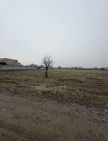 3 3: 15 соток, Для строительства, Красная книга — 2