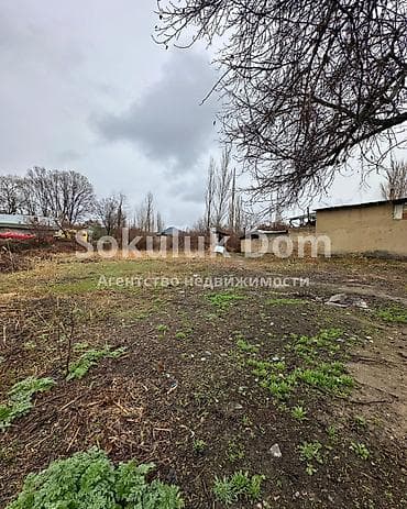 central park: 8 соток — 2