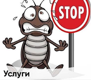 диз: Дизинфекция квартир и домов от клопов тараканов и д.р. гарантия — 1