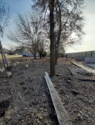 продажа дом село джал: 14 соток, Красная книга — 9