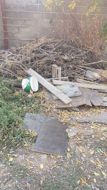 Дрова Самовывоз