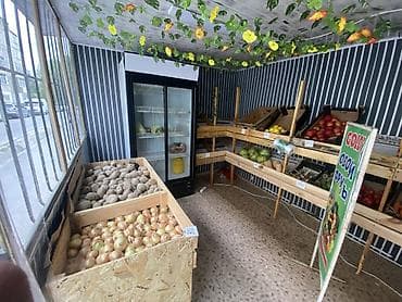 манго фрукт купить: Овощи и фрукты – уличный павильон Сразу звоним-503114477 — 3