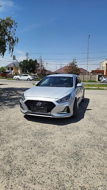 сетка от солнца: Hyundai Sonata: 2019 г., 2 л, Автомат, Газ, Седан — 2