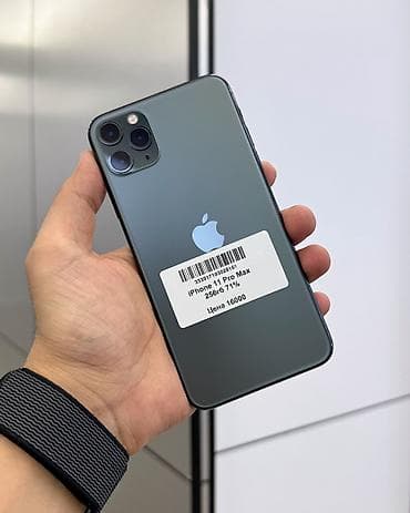 IPhone 11 Pro Max, Б/у, 256 ГБ, Matte Space Gray, Защитное стекло, Чехол, В рассрочку, 71 %