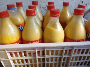 зерно пшеница: Атбашынын Сары майы
Тоо балы
Кол курут — 7