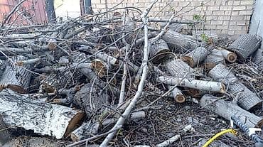 орех дрова: Дрова Орех, Самовывоз — 3