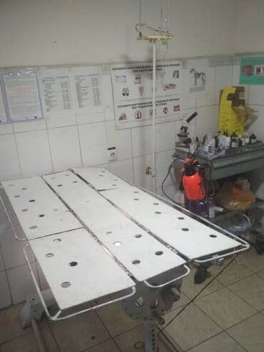 Грызуны: Дипломированный и Высококвалифицированный ветеринар. Ветеринарный врач — 2