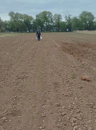 продажа земли сельскохозяйственного назначения: 1 соток — 5