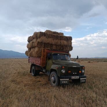 бу шины на газ 53: Жүк ташуучу унаа, GAZ, Стандарт, 4 т, Колдонулган — 3