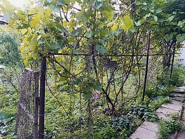 кант шаары дом: Участок 7.93 сотки, район Тоголок -Молдо Куренкеева,265 000$ — 3