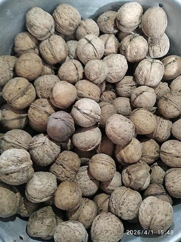 Грецкий орех в скорлупе - Цельные орехи, натуральная неочищенная