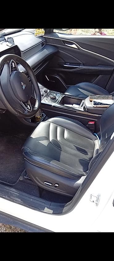 только продажа: BAW : 2022 г., 0.1 л, Вариатор, Электромобиль, Кроссовер — 3