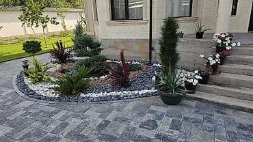 рабочие: Ландшафтные работы и озеленение участков - Проектирование — 4