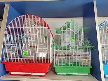 Үй жаныбарлары: Клетки для птиц и грызунов! — 3