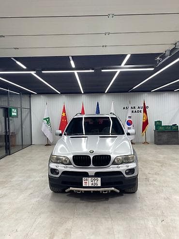 х5 2003: BMW X5: 2004 г., 3 л, Автомат, Дизель, Кроссовер — 3