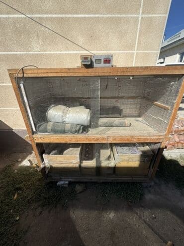 сушка для фруктов: Брудер Описание: - Каркас из дерева, прозрачные передние панели для — 1