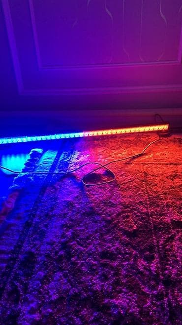 авто для такси: Декоративная подсветка — 2