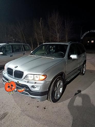red cell: BMW X5: 2002 г., 4.4 л, Автомат, Бензин, Кроссовер — 5