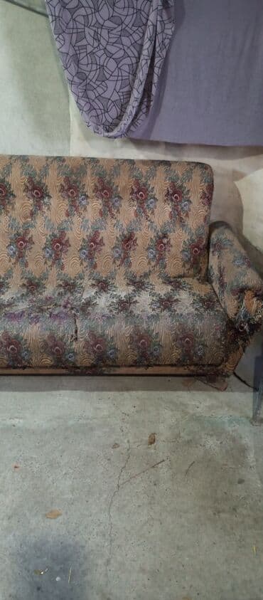 Отдам даром: Отдам даром — 3