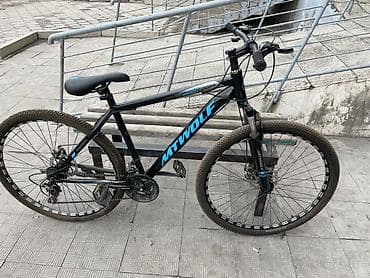 forward apache: Горный велосипед MTB Wolf (MTWOLF), хардтейл - Рама: стальная — 3