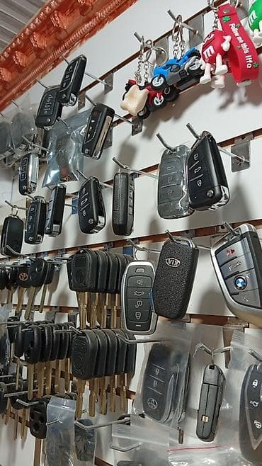 Автоключи и брелоки для автомобилей - Большой выбор корпусов и