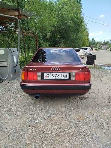 Audi: Audi 100: 1991 г., Седан — 6