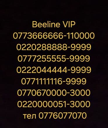 роутер каракол: Beeline VIP — 1