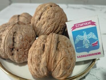 купить шкаф для одежды бишкек: Продаю Саженцы. больших грецких Орехов . Их можно сажать с осени до — 2