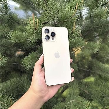 iphone 13 pro green: IPhone 13 Pro Max, Б/у, 1 ТБ, Золотой, Защитное стекло, 79 % — 1
