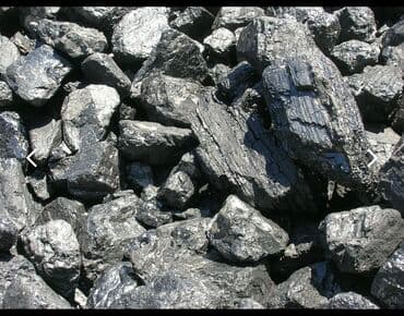 саженцы бишкек цена: Уголь отборный уголь. Кара-жыра. Кара -кече (беш сары) шабыркуль — 1