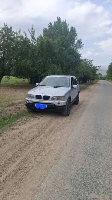чехол для xr: BMW X5: 2001 г., 3 л, Автомат, Бензин, Внедорожник — 1