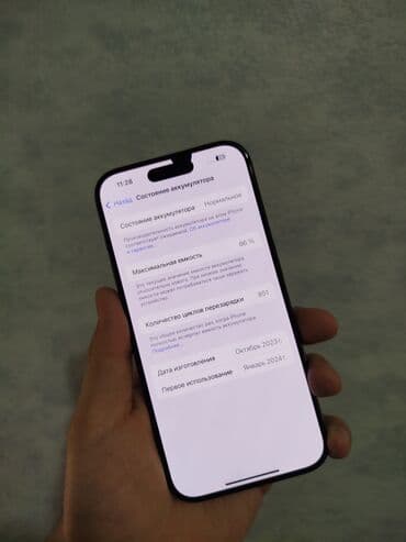 морозильные камеры бытовые: IPhone 15 Pro, Б/у, 256 ГБ, Черный, 86 % — 8