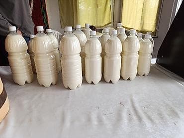 Продукты питания: Нарындын таза, нукура кымызы. 
5л өйдө шаар ичи жеткирүү бекер — 3