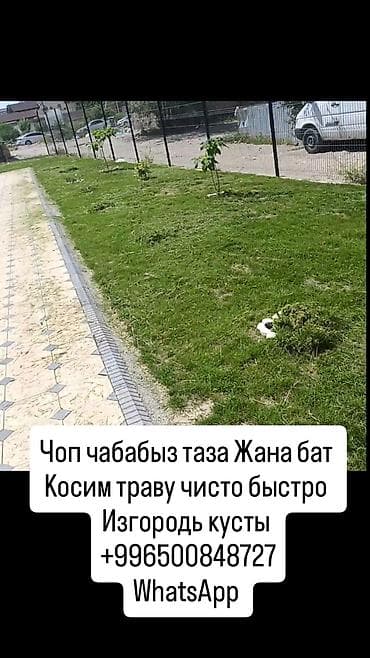 Клининг кызматтары: Аймактарды жыйнап тазалоо, Газон чабуу — 1