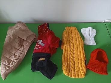 Продаю новую одежду для маленьких собак и кошек. цена 500 сом. шапочки at lalafo.kg Продаю новую одежду для маленьких собак и кошек. цена 500 сом. шапочки