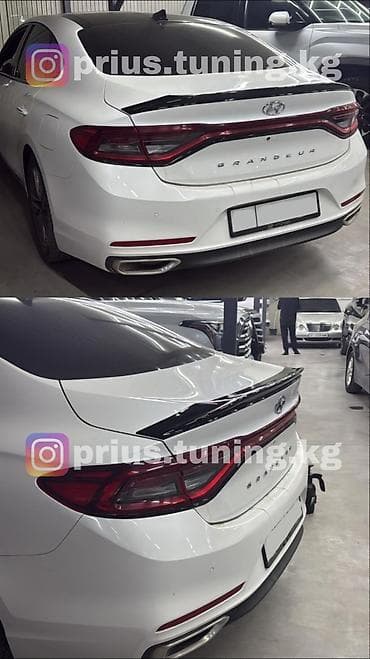 запчасть нексия 1: Декоративные накладки На зеркала, Пластик, Hyundai, Новый, Самовывоз, Платная доставка — 5
