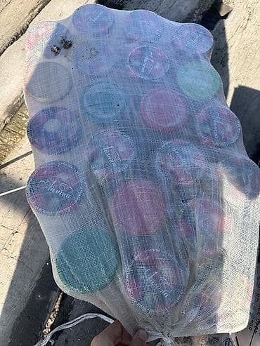 Үй жана бакча: Банкалар — 4