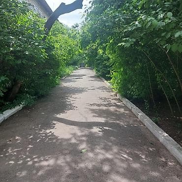 сдаю дом аламидин 1: 1 комната, 42 м² — 2