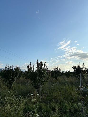 участки дачные: 28 соток, Для сельского хозяйства — 3