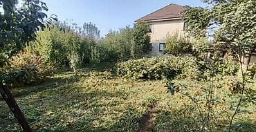 Жер тилкелери: 4 соток, Курулуш, Кызыл китеп — 1