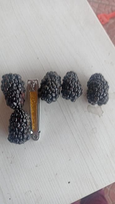 сок яблочный: Ежевика (сорт : блек джем ) — саженцы ремонтантные Описание: - Куст — 6