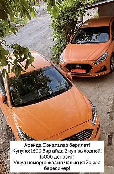 2019: Hyundai Sonata: 2019 г., Газ, Седан — 1