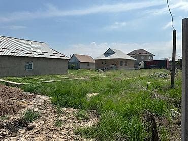 старый талчок: 5 соток, Красная книга — 3