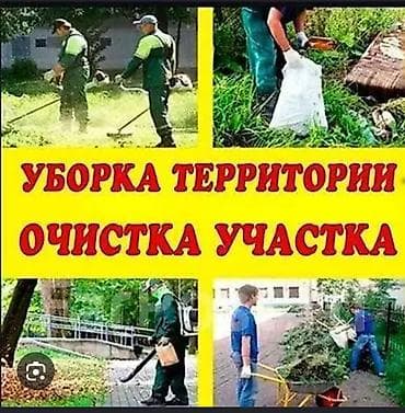 портативный пылесос: Уборка территории, Уборка двора и сада — 1